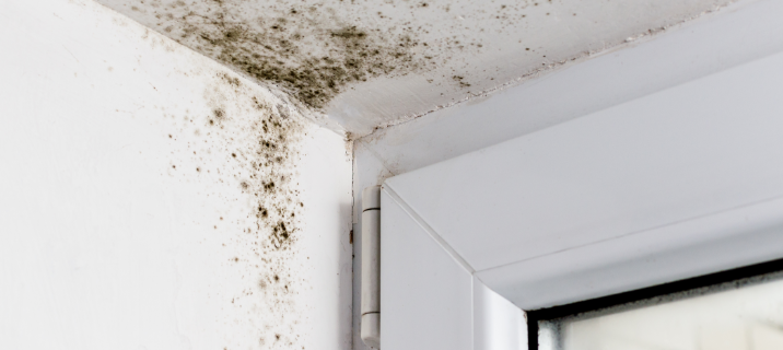 Mold on the wall of a home